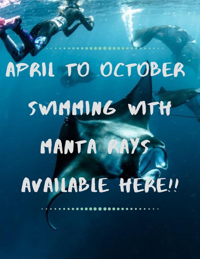 White Sandy Beach-Best Manta Snorkeling Tethi エクステリア 写真